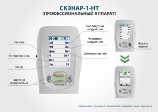 СКЭНАР-1-НТ (исполнение 01)  в Твери купить Медицинская техника - denasosteo.ru 